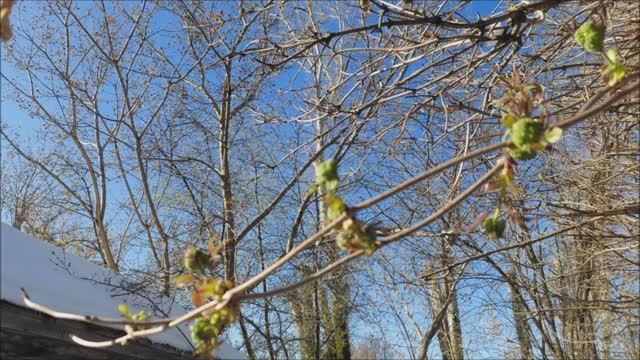 Всё должно быть в своё время.