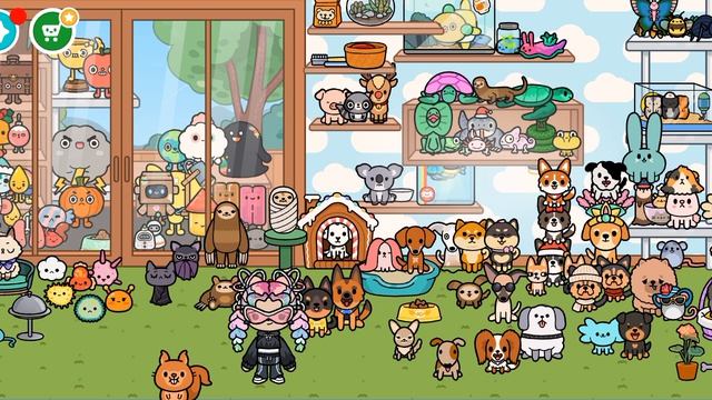 Новые питомцы 
Тока бока