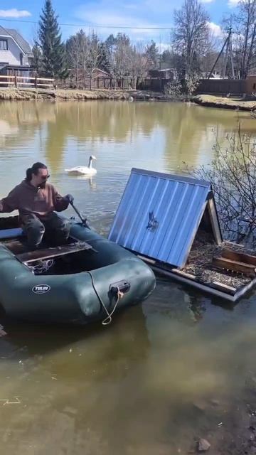 Сегодня наш лебедь получил новое социальное жилье!