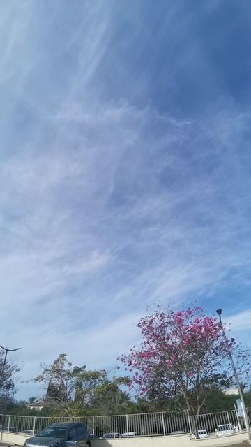 Химтрейлы. Израиль. 13фев2026