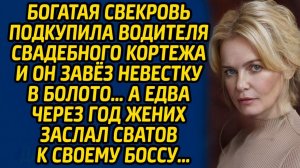Истории из жизни | Богатая свекровь подкупила водителя | Аудио рассказ| Слушать истории