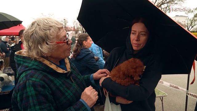 Клуб Шико.Выпуск от 25.04.26