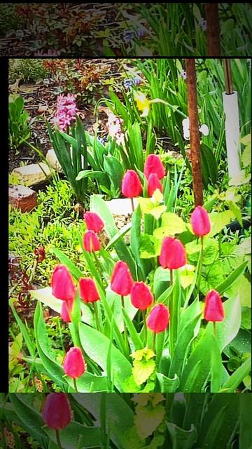 весна в Дебальцево