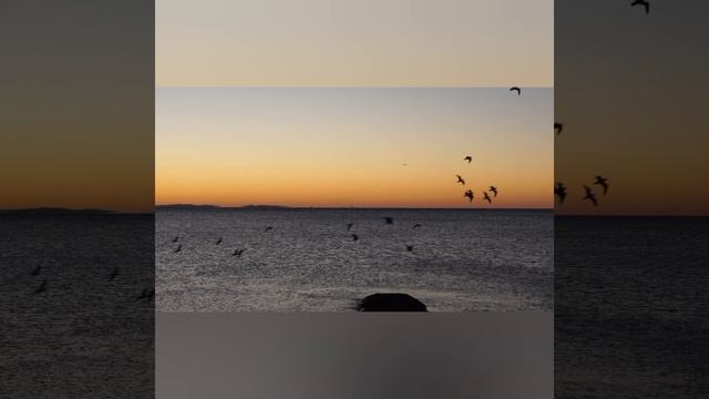 красота природы