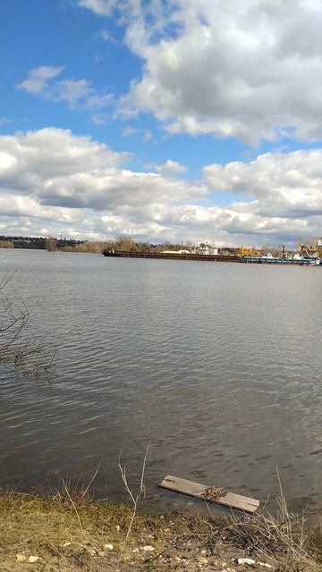 Речной Затон. р.Ока. 25.04.2026г.