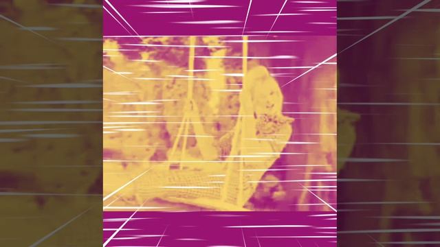 Стала осень на краски богаче