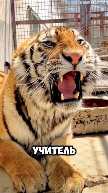 copy_41D6049F-59C6-4F79-8567-CD49EF5F66E2