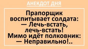 Прапорщик воспитывает солдата... | Анекдоты смешные | Юмор
