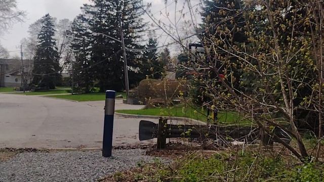 Канадские СМИ о причине войн.