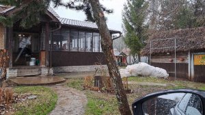 "Феноменальный" медосбор с ивы