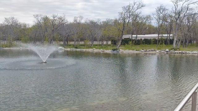 Выходной//Гуляю с собаками//Едем в парк