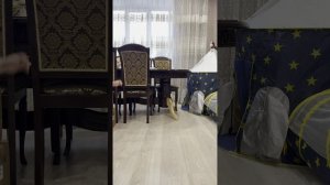 У Арсена развлекательные танцы