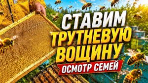 Ставим трутневую вощину. Осмотр семей