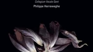 Feria Quinta, Tenebrae Responsories for Maundy Thursday II. Tristis est anima mea