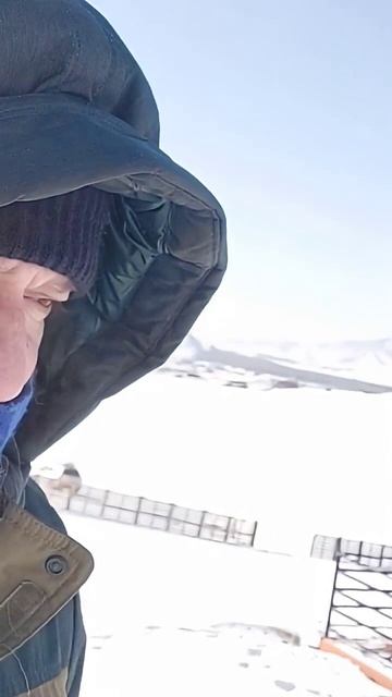 Mongolian countryside #mongoliawinter