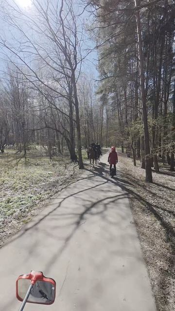 Вы тут двуногих не видели? Не, а кто это?