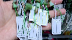 Натуральные камни - нити 25.04.26