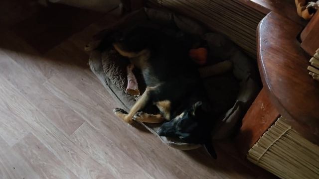 Летняя комната, зимняя погода и новая работа