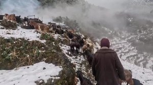 Один день из жизни жителей Гималаев на заснеженных горах зимой. Жизнь в горах