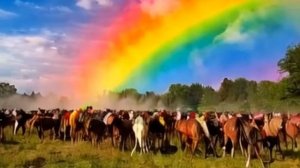 Венгрии предрекли окупацию