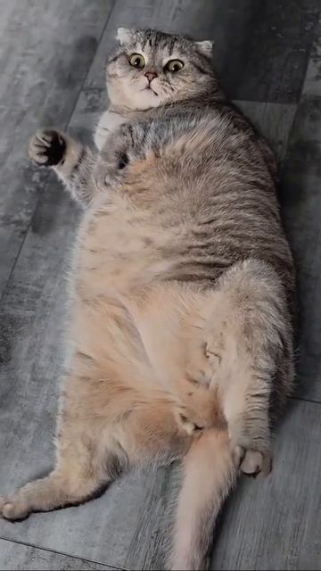 Лучший Игрок