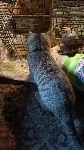 что-то замыслили