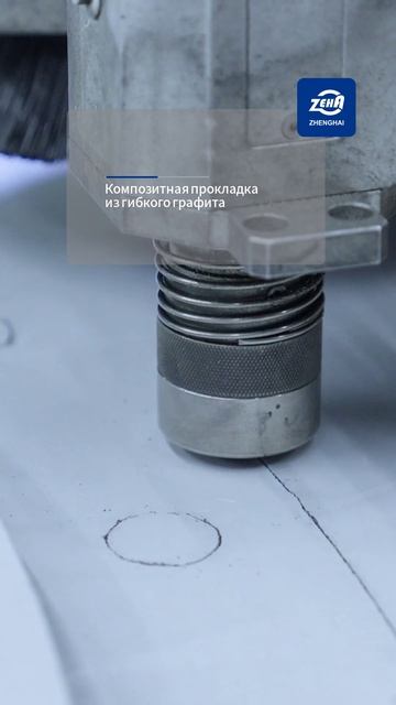 Армированная композитная прокладка из гибкого графит-ZHENGHAI SEAL-2