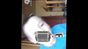 Klasky klasky klasky klasky dima bear original