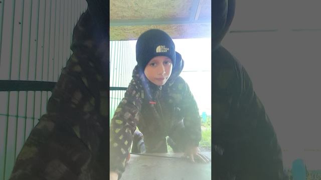 736.mp4ггигинининигинмн рлб