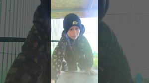 736.mp4ггигинининигинмн рлб