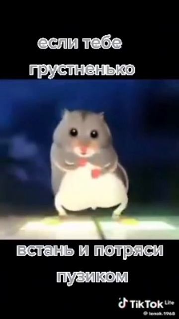 встань и потряси пузиком 🤣