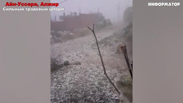 НОВОСТИ СЕГОДНЯ_ 25.04.2026 - Россия, Москва, ЧП, Катаклизмы, События Дня, США_ Европа