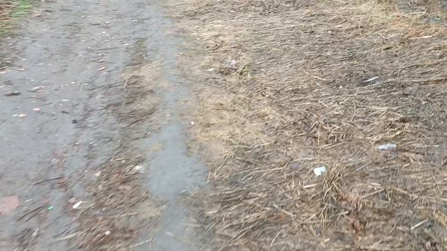 Короткие анекдоты от автора