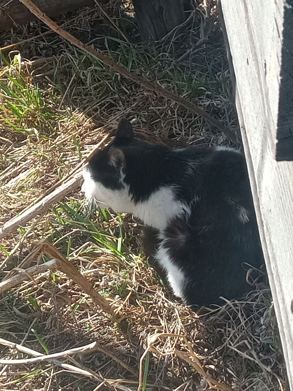 Весенний влог!