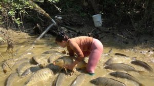 Интересная техника ловли рыбы. Откачиваю воду из озер и ловлю много крупной рыбы.