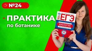 24. Практика по ботанике.