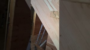 1000057012.mp4 (Собака наблюдает за устройством лестницы на 2-ой этаж в доме А-фрейм)