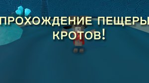 Прохожу пещеры кротов