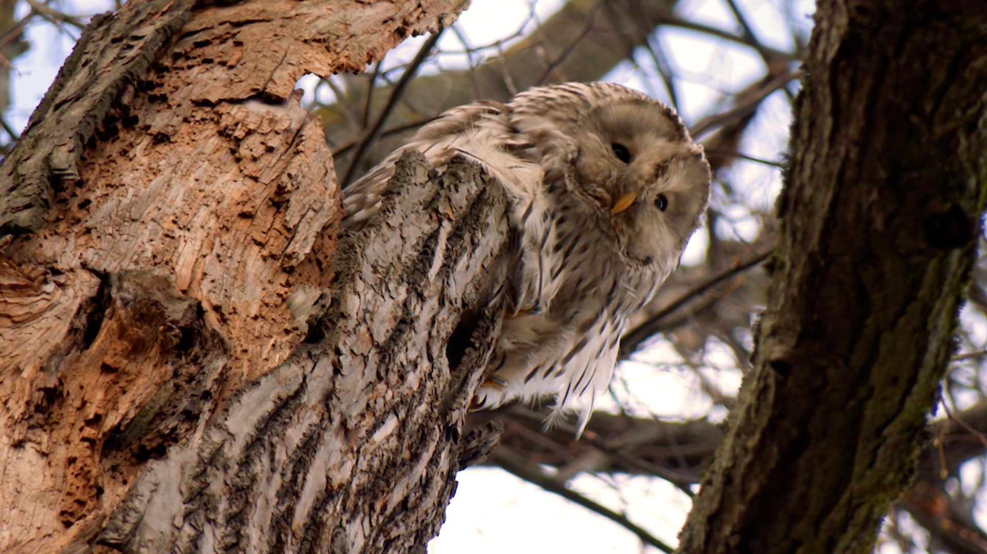 Дикие выходные с Павлом Глазковым. 25 апреля
