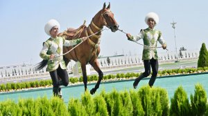 Самого красивого ахалтекинца выберут в Туркменистане