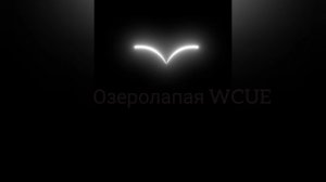 [WCUE]-Малиновый свет☄️