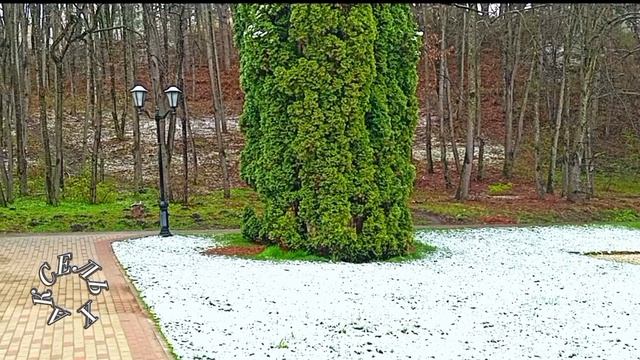 НЕОЖИДАННАЯ ПОГОДА 23 АПРЕЛЯ