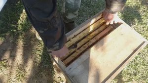 Формирование пчелопакетов 2026