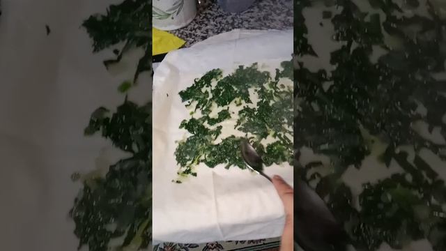 Готовлю турецкий бёрек со шпинатом
