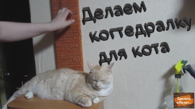 Когтедралка своими руками