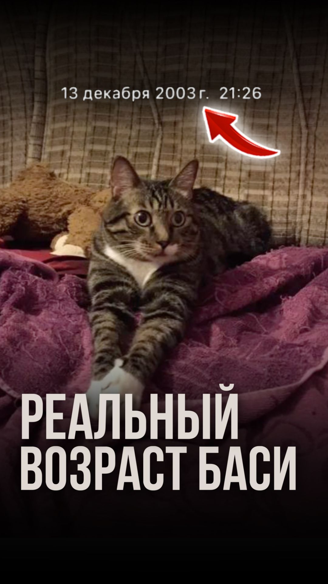 Реальный возраст Баси
