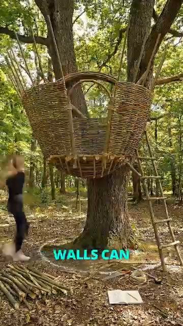 She Built a GLOWING Woven Nest Cabin in a Tree From Scratch bushcraft satisfying build viral [get.gt