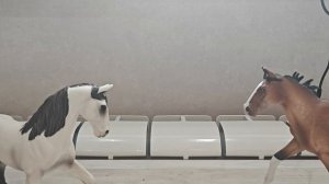 Пиар на чудесный канал 😚