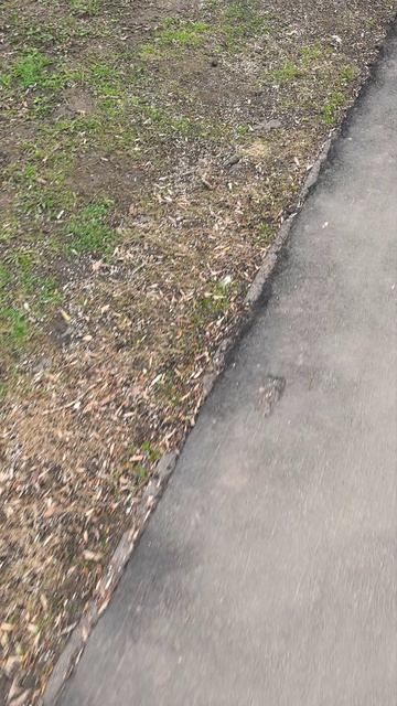 Соль (реагенты) в Москве #экология #реагенты #соль