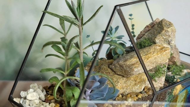 Флорариум своими руками. Цветочная композиция с суккулентами. Сделать подарок самому. Необычная идея